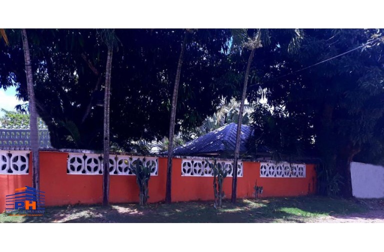 Inmensa finca, Pedro Brand